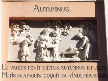 autumnus. et varios ponit faetus autumnus et alte mitis in apricis coquitur vindemia saxis